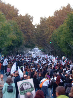Manif professores, 8 Nov 2008