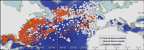 Posições detectadas de atuns vermelhos com desovas no Golfo do México e no Mediterrâneo