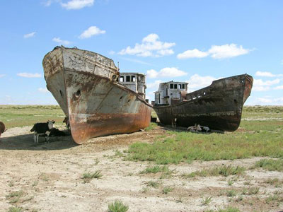 Navios abandonados e vacas amarradas no deserto do Mar de Aral