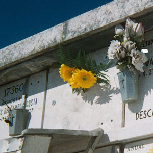 Flores na campa de Alexandrino de Sousa